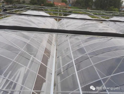 智能溫室大棚核心 齒條推拉遮陽系統安裝標準才算真合格