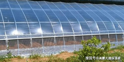 大棚薄膜安裝發皺起褶的原因與解決方法