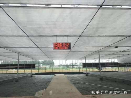 連棟薄膜溫室大棚 高效利用與薄膜應用的多元場景分析
